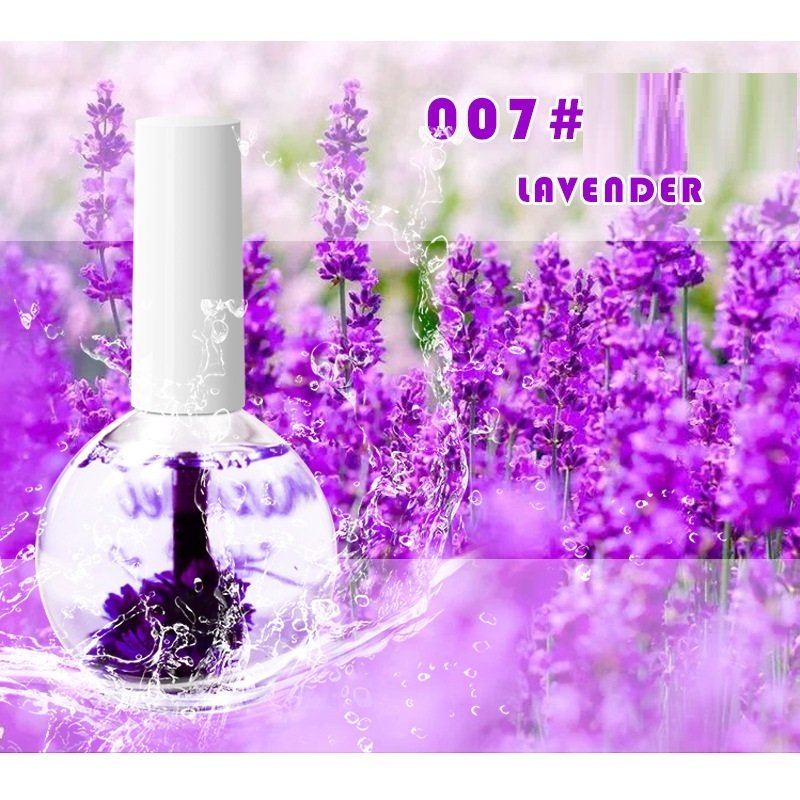 Nail Beauty Dried Flowers Nutrition Nail Treatment Oil Anti-agnail Nail Edge Moisturizing Nail Base Coat Natural Dried Flower Nutrient Solution - Image 4